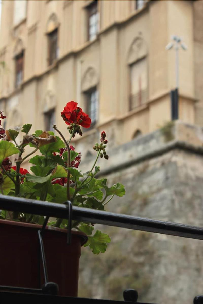 B&B "Al Bastione Normanno Palermo Ngoại thất bức ảnh